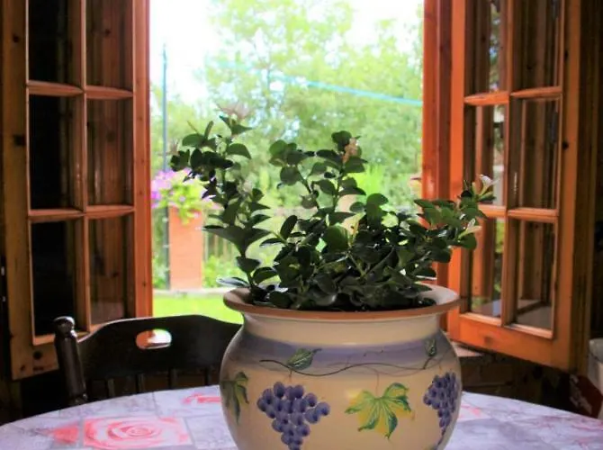 Casetta Nora Holiday home Nicolosi